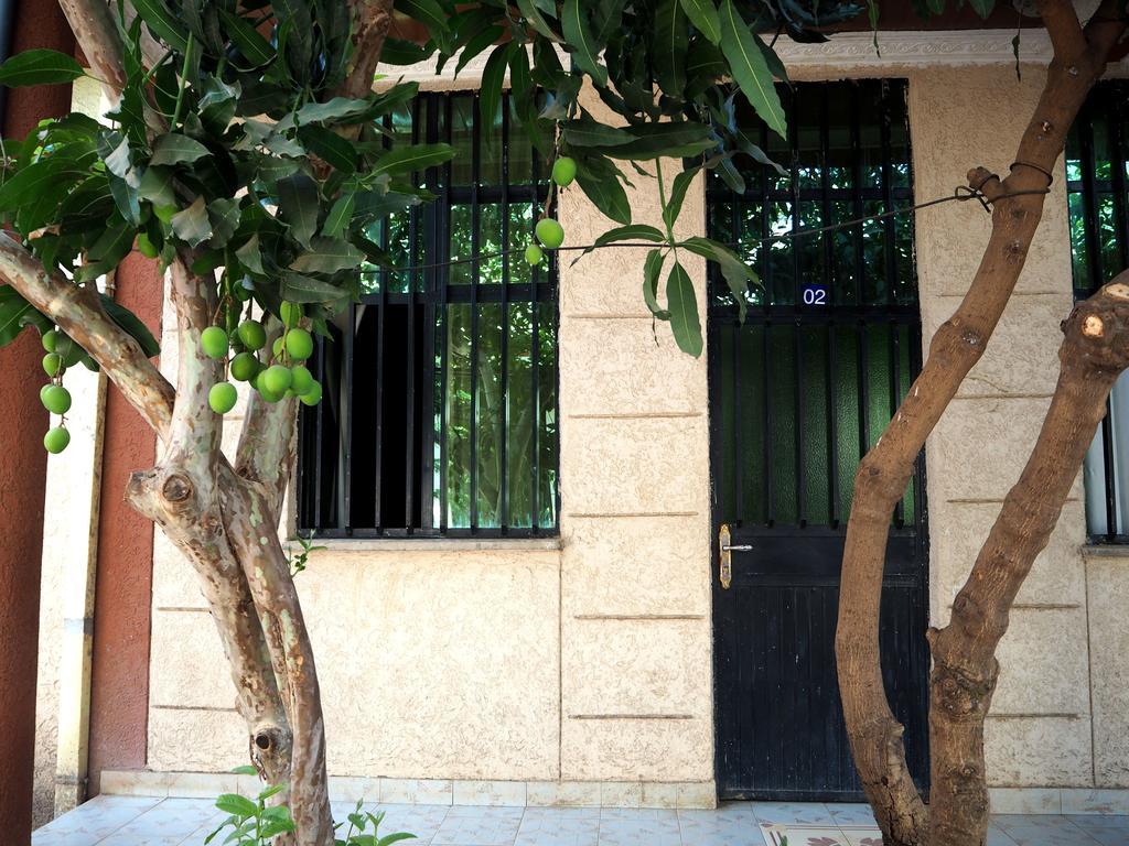 Manuhie Backpackers Lodge Bahir Dar Rom bilde