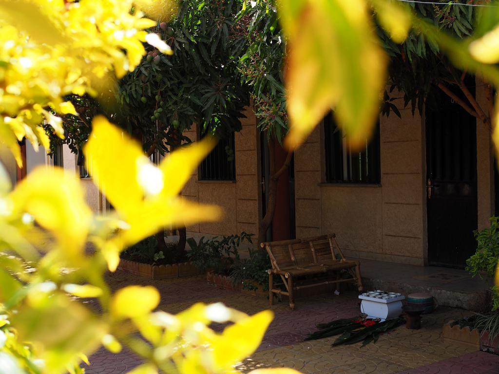 Manuhie Backpackers Lodge Bahir Dar Rom bilde